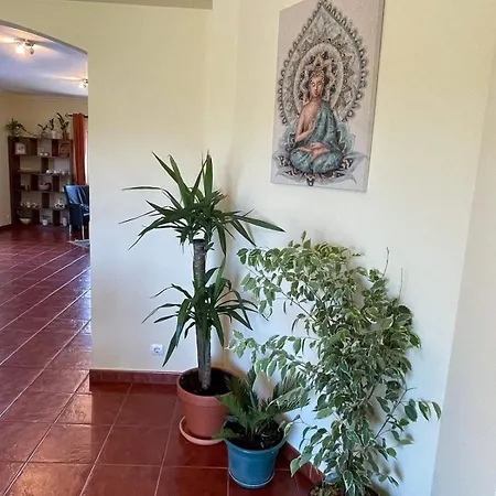 Farm stay Casa De Jardim Em *