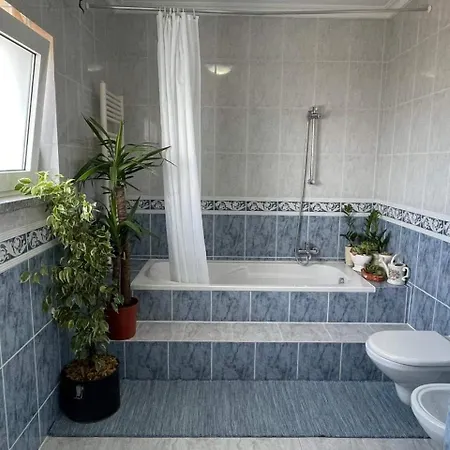 Casa De Jardim Em Farm stay