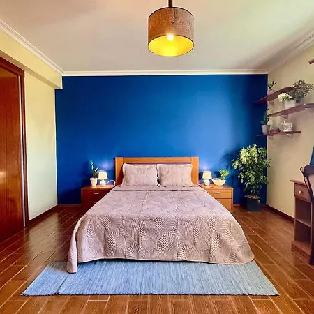 Casa De Jardim Em Fundao